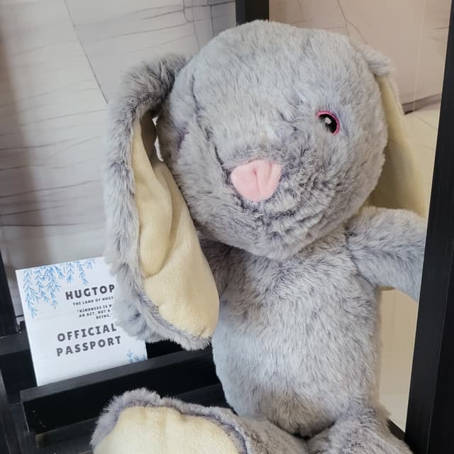 CES Snuggle Stuffies Med Bunny Gray at Essential Salt Spa in Minnetonka, MN