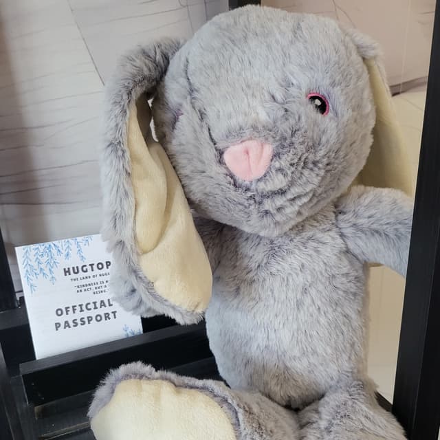CES Snuggle Stuffies Med Brown at Essential Salt Spa in Minnetonka, MN